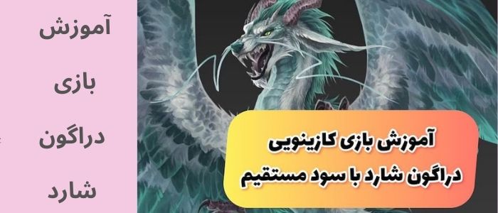 آموزش بازی دراگون شارد